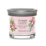 Svíčka ve skleněném válci Yankee Candle